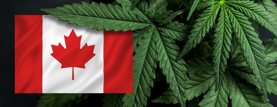 Doing business in Canada? You need to know about this.