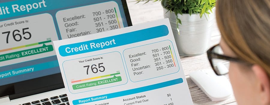 What else does a background check discover beyond criminal history?
