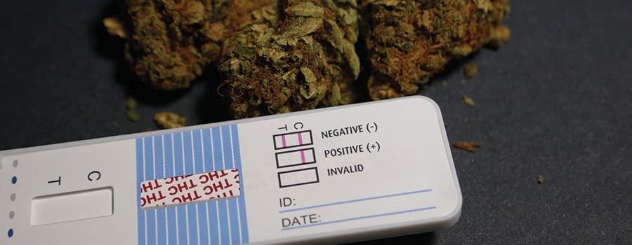 Navigating the Changing Legal Landscape of Marijuana Laws